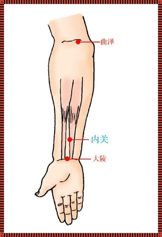 神门内关左手还是右手：神秘之中探寻真相