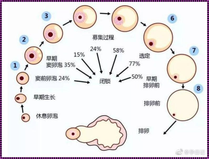 先天性卵巢早衰可以做试管吗？