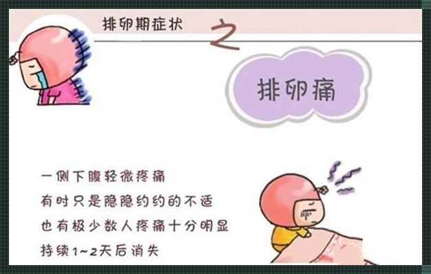 不排卵的女人有什么症状