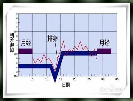 如何监测排卵：新动态与深度解析