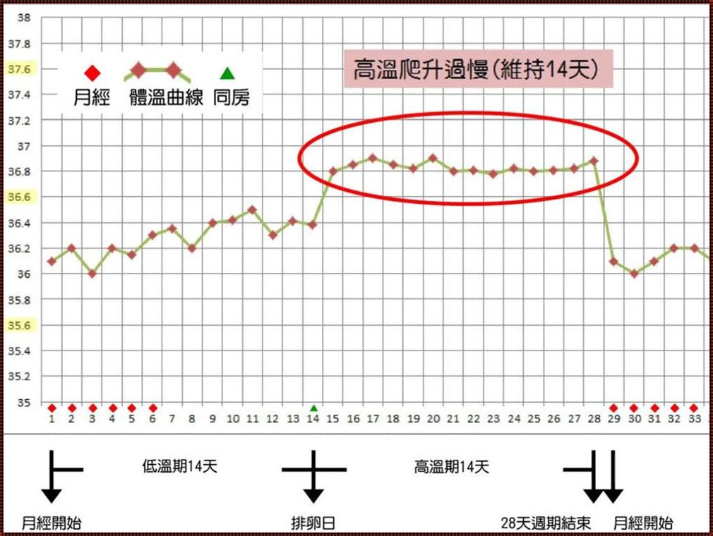 排卵日当天受孕率高吗？