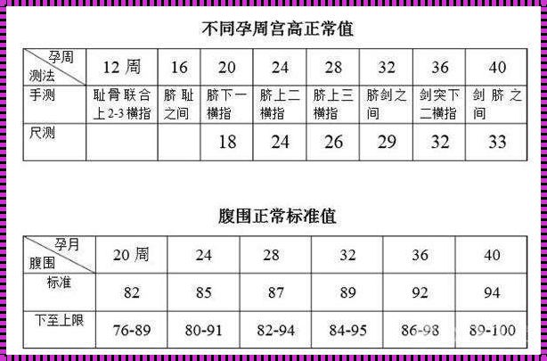 各孕周子宫大小正常值：孕期子宫的奇妙之旅