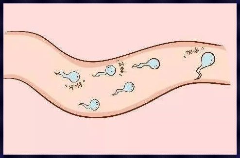 21三体是精子还是卵子有问题：探寻生命起源的奥秘