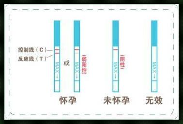 探究怀孕检测的准确性：揭开神秘面纱