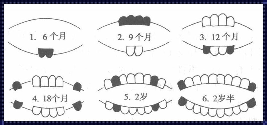 婴儿出牙顺序乱了，背后藏着哪些秘密？