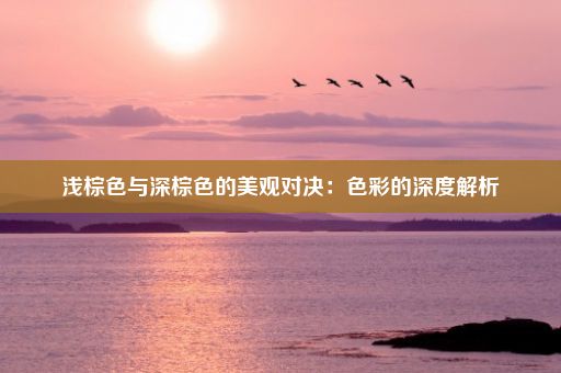 浅棕色与深棕色的美观对决：色彩的深度解析