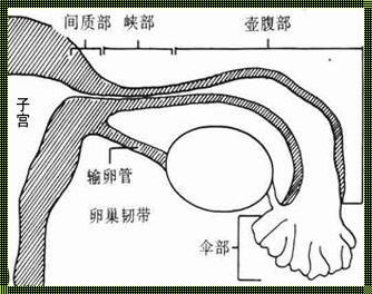 单侧附件炎可以怀孕吗？