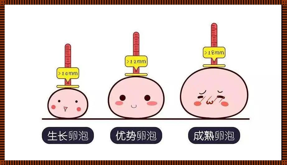 卵泡分几个等级：探索生育和生殖健康的秘密