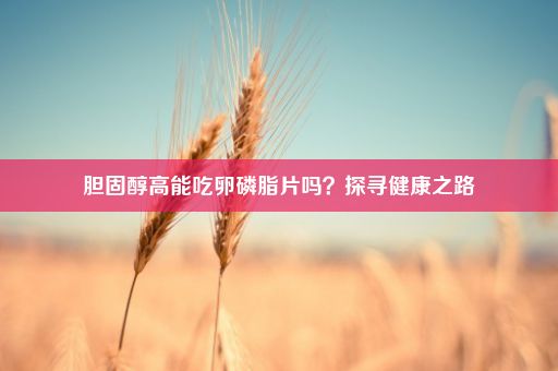 胆固醇高能吃卵磷脂片吗？探寻健康之路