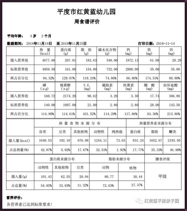 神秘之光：幼儿园营养分析报告