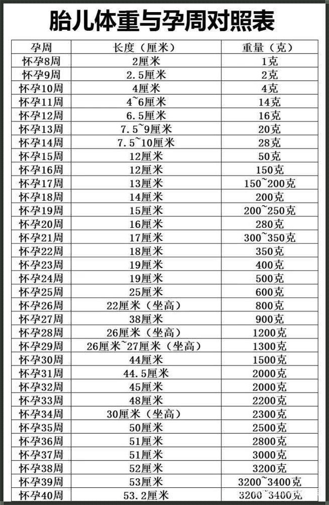 26周宫高与孕周对照表：孕期小技巧助您轻松应对