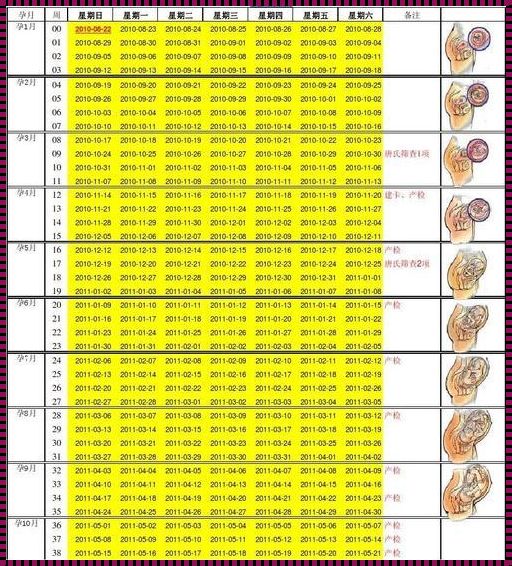 怎么算怀孕时间最准确