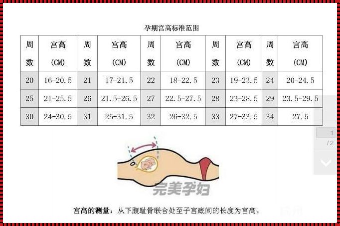 宫高乘腹围加200是胎儿体重吗？揭秘孕妇产前预测胎儿体重的科学方法