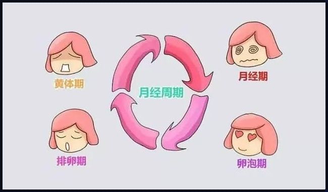 会一边来姨妈一边排卵吗