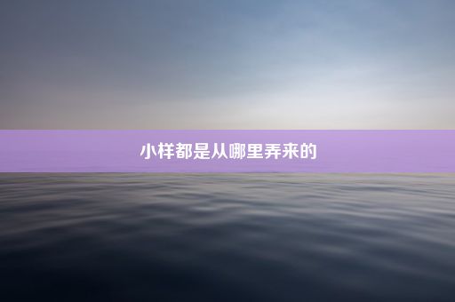 小样都是从哪里弄来的