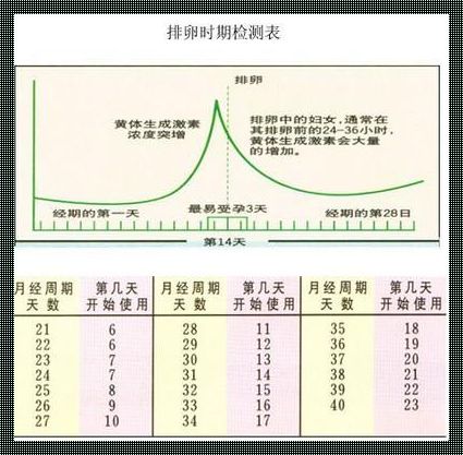 排卵期过后会不会怀孕