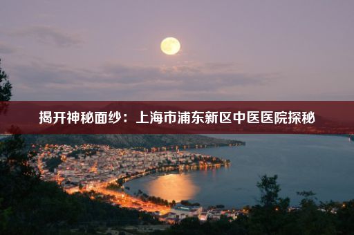 揭开神秘面纱：上海市浦东新区中医医院探秘