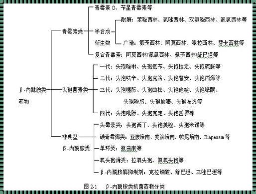 抗菌药物的主要药理作用