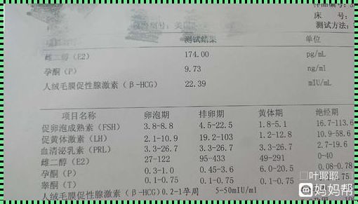 生化妊娠备孕成功经验