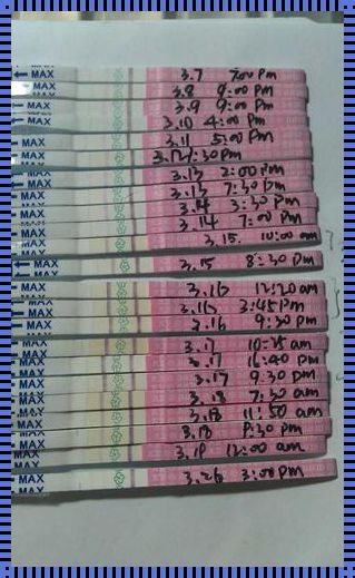 卵泡试纸怎么用：深入了解与实用指南