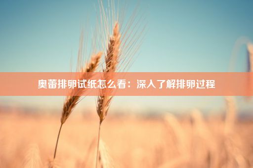 奥蕾排卵试纸怎么看：深入了解排卵过程