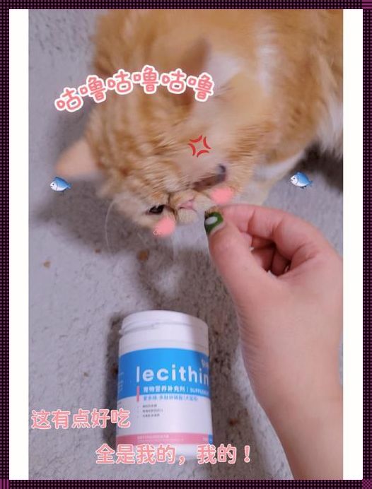 猫咪长期吃卵磷脂的危害：深入解析