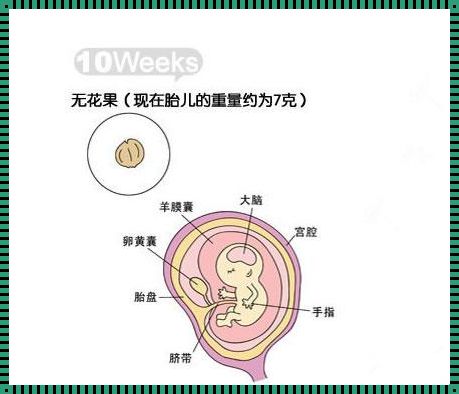 孕10周什么状态反应胎儿很好