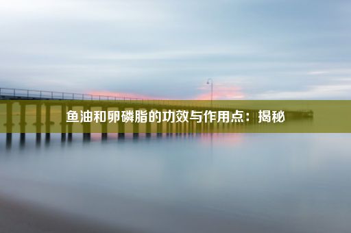 鱼油和卵磷脂的功效与作用点：揭秘