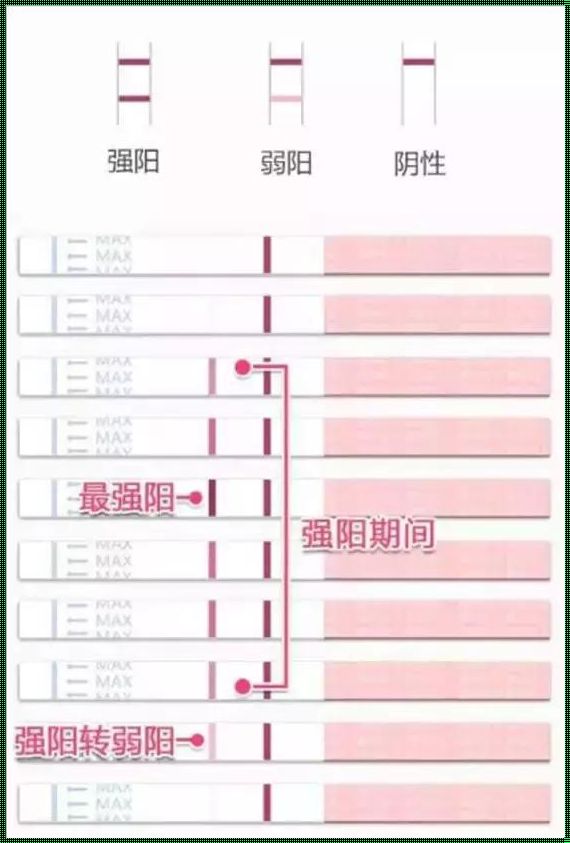 怎么知道自己已经排卵了