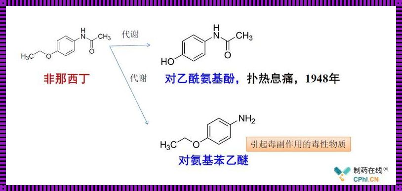 对乙酰氨基酚代谢：神秘的面纱