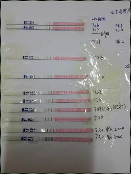 测到强阳是排卵还是将要排卵：解读排卵之谜