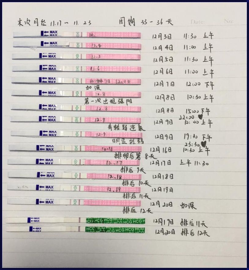 深入解读：大卫排卵试纸色卡图解指南