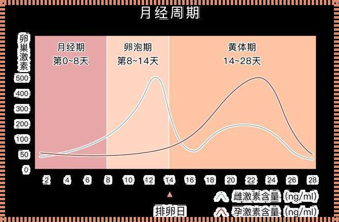 月经期属于黄体期还是卵泡期：女性生理周期的奥秘