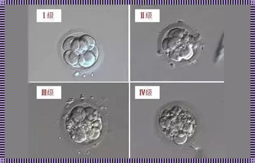 取8个卵培养1个4ab囊胚：生育技术的前沿与伦理考量