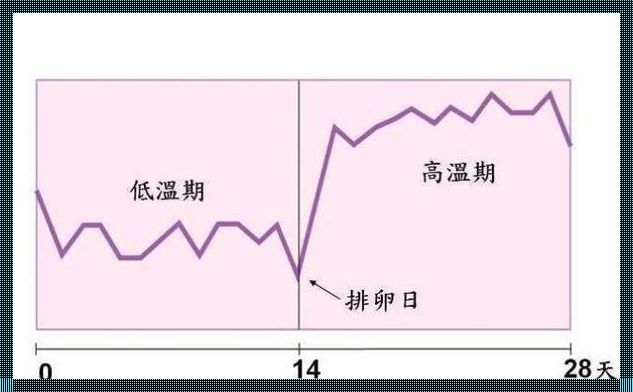 如何感觉自己排卵了：揭开女性排卵的神秘面纱