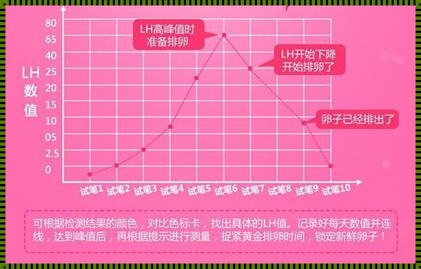 LH值20一般多久排卵：探索排卵的奥秘