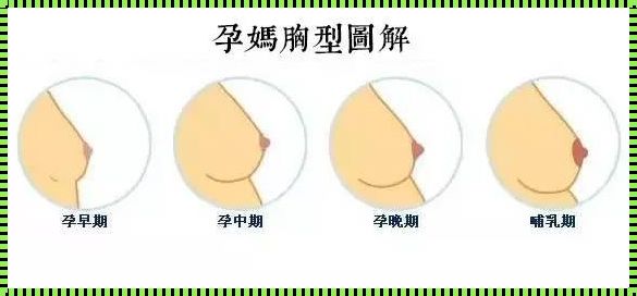 怀孕多少天开始乳房疼：探索孕期身体变化的奥秘