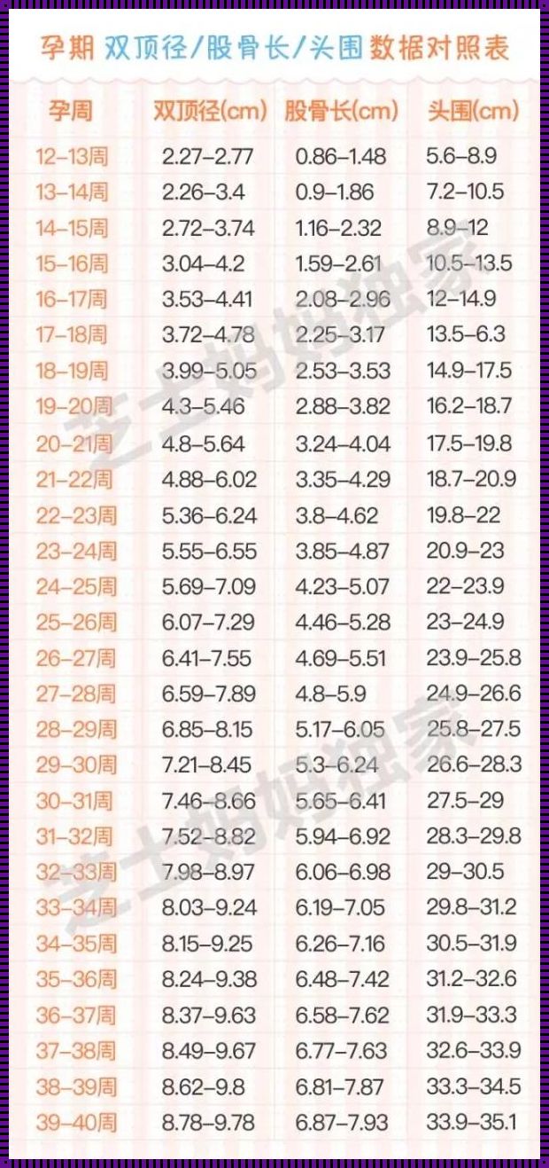 双顶径算孕周准吗？深度解析与探讨