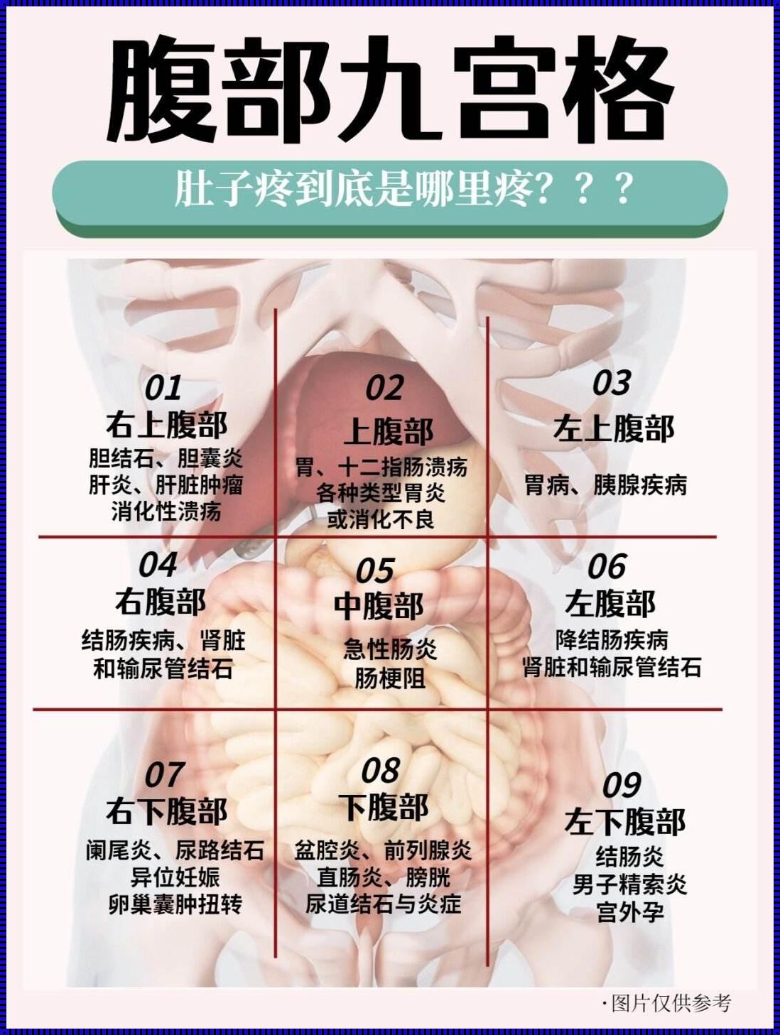 阑尾炎疼痛位置图左下腹胀痛：探秘人体奥秘