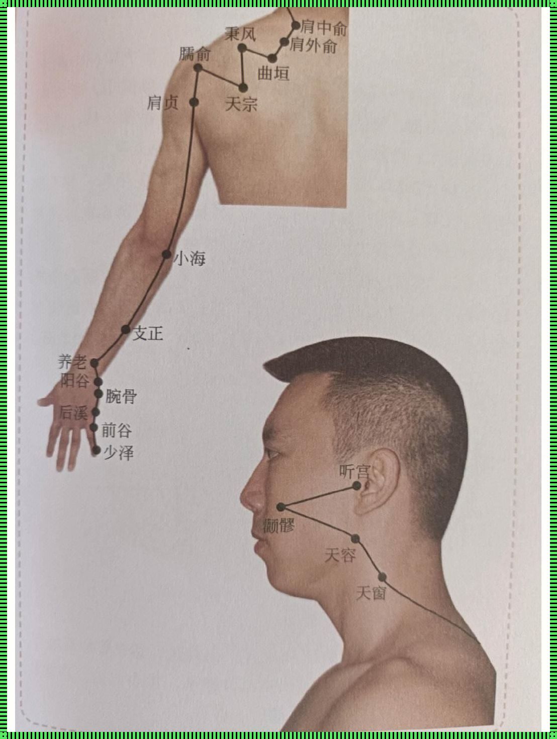 小肠经走向经络图：探寻人体神秘的能量通道