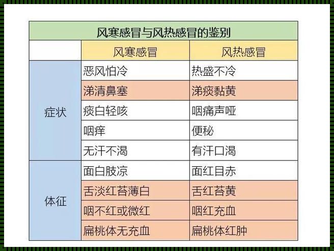 阳了是风寒还是风热感冒：一次深度的剖析