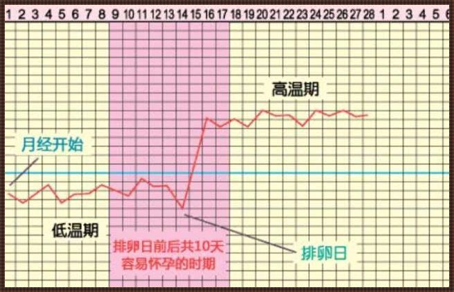 女人大姨妈完了几天是排卵期：了解你的身体节奏