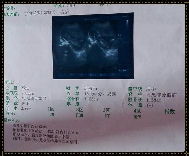 卵黄囊大染色体有问题：探讨与分享