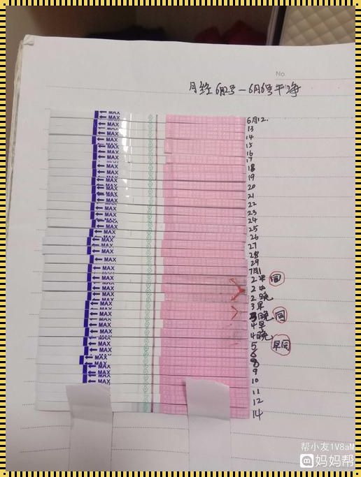 出现强阳后多久排卵：深入了解排卵过程