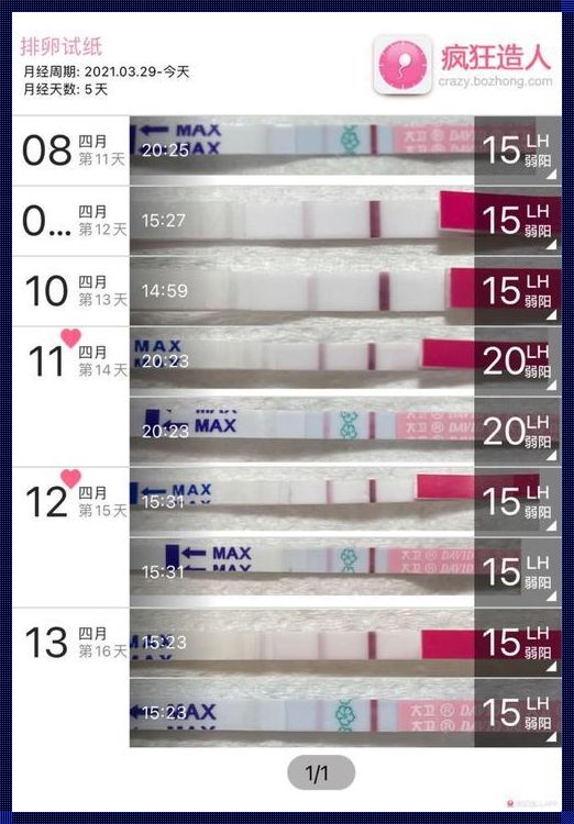 排卵弱阳LH10会怀孕吗：探寻怀孕的奥秘