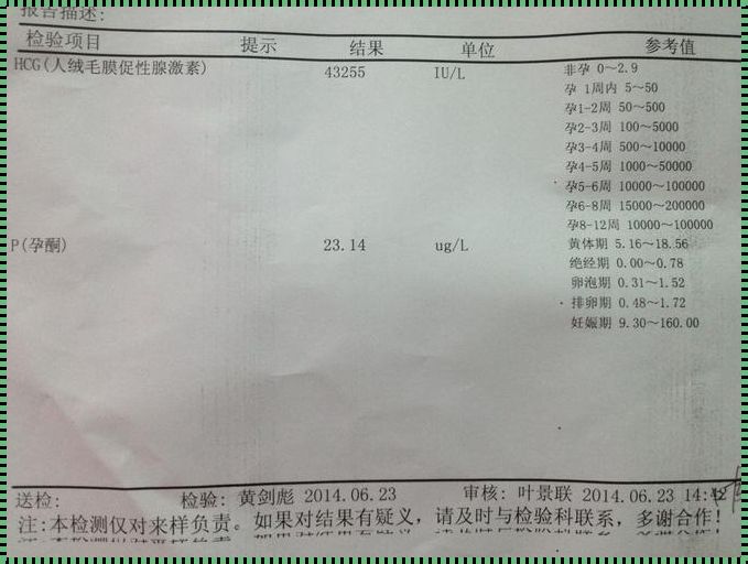 验血单怎么看怀孕：新动态解析