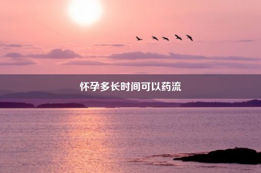 怀孕多长时间可以药流