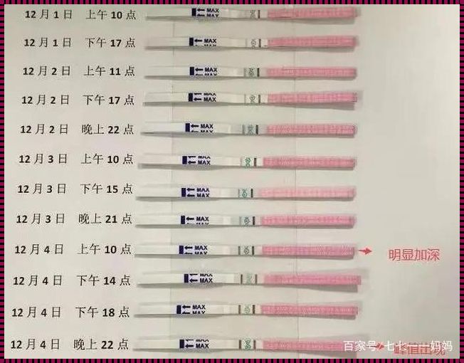 排卵试纸过程示意图：深入了解排卵过程