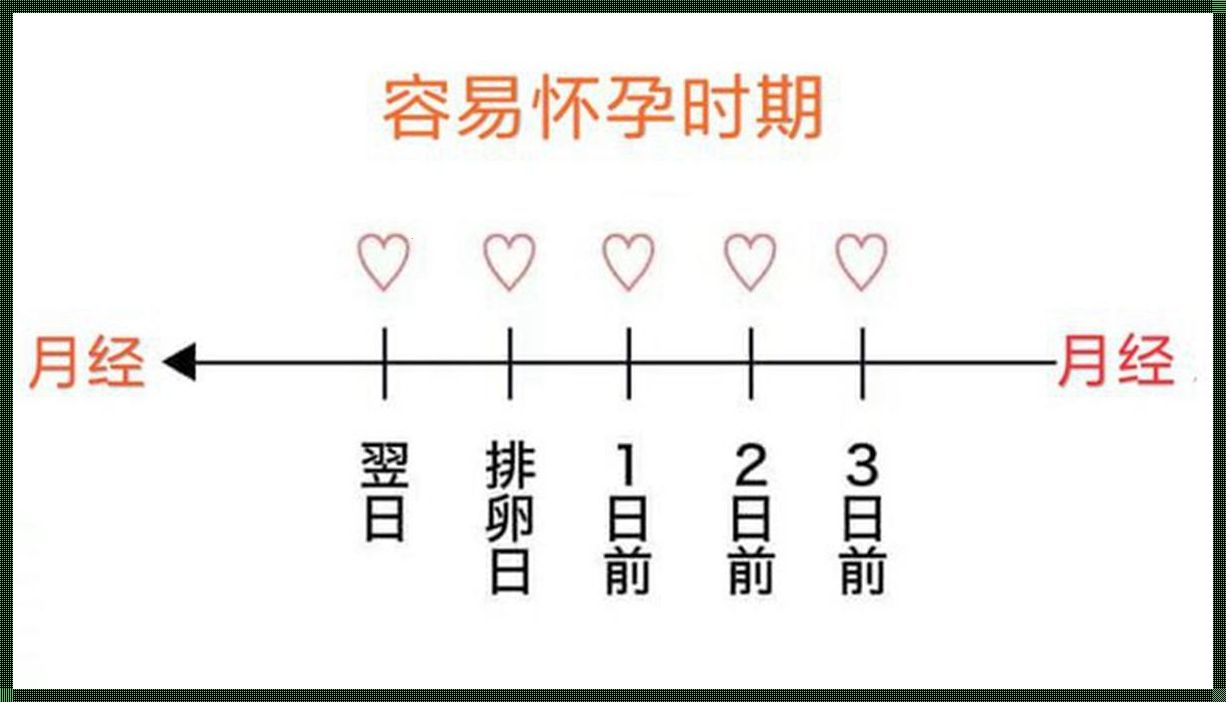 排卵日几点同房怀孕几率最高