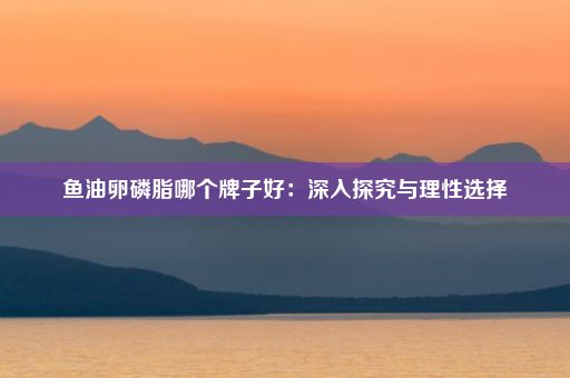 鱼油卵磷脂哪个牌子好：深入探究与理性选择